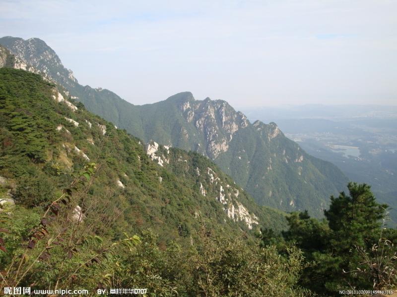 江西庐山明兴绿化苗木基地