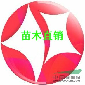 赵忠位（个体经营）