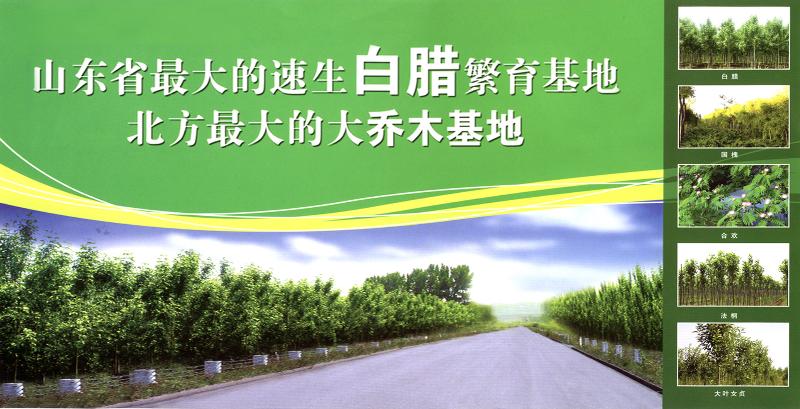 胜利油田钻井农副业公司园林绿化中心