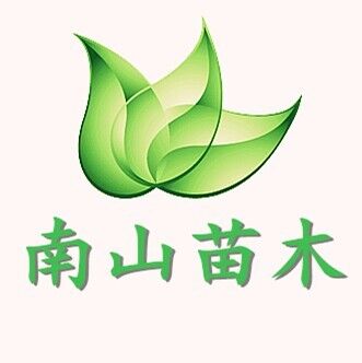 宣城市狸桥南山苗木花卉专业合作社