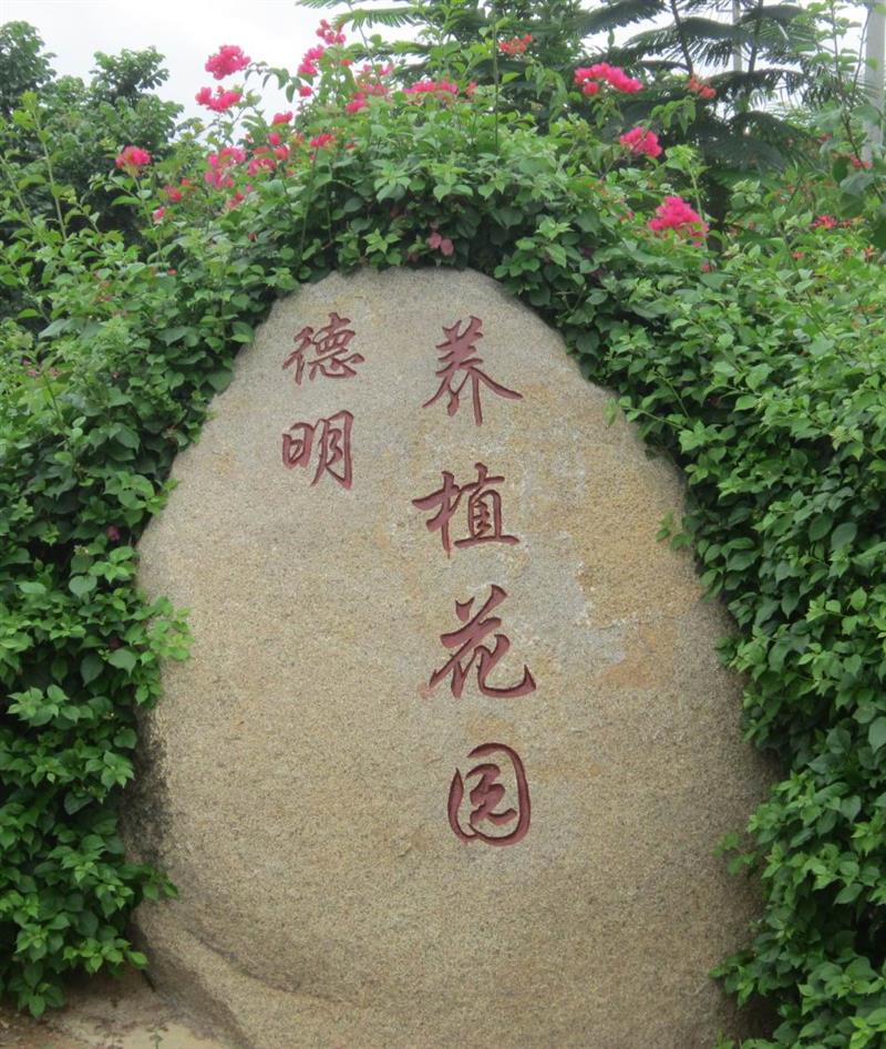 三亚荔枝沟德明养植花园