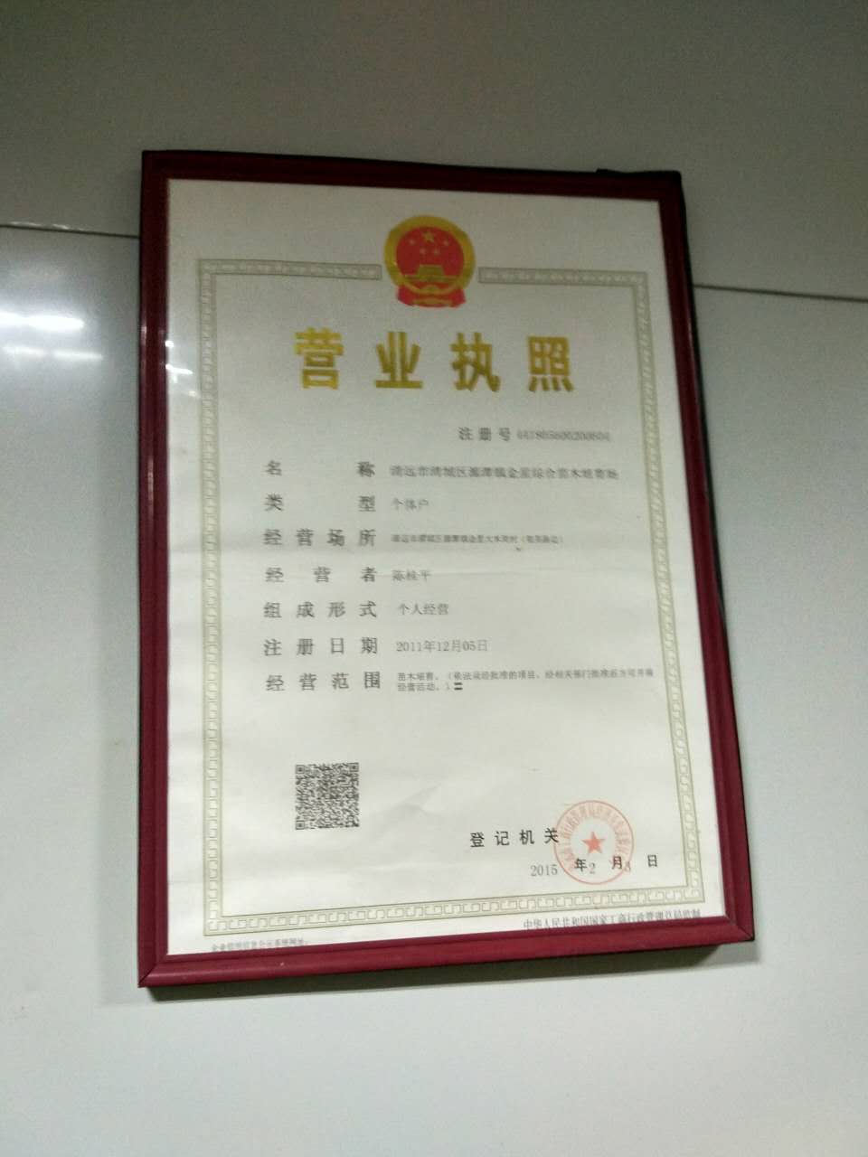 陈桂平（个体经营）