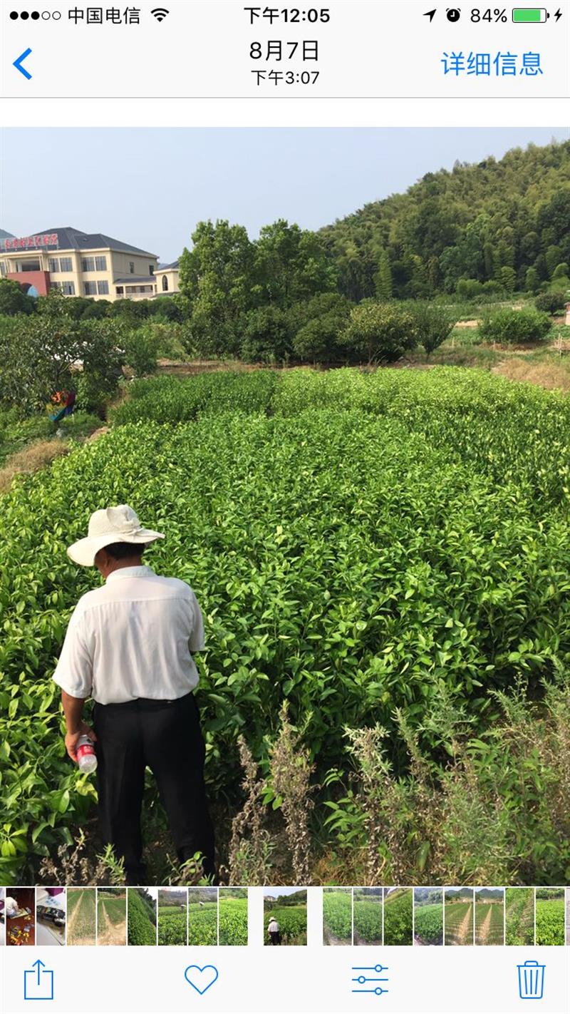 象山臻乐家庭农场