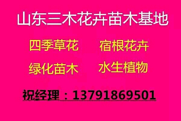 青州市三林花卉苗木农民专业合作社