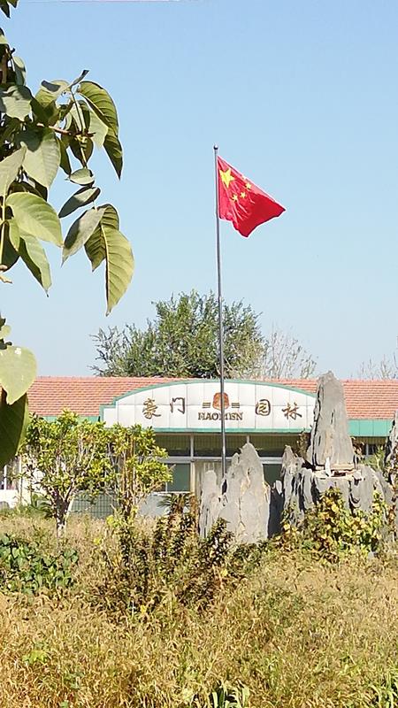 豪门园林苗木基地