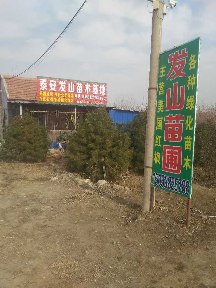 泰安市发山绿化工程有限公司