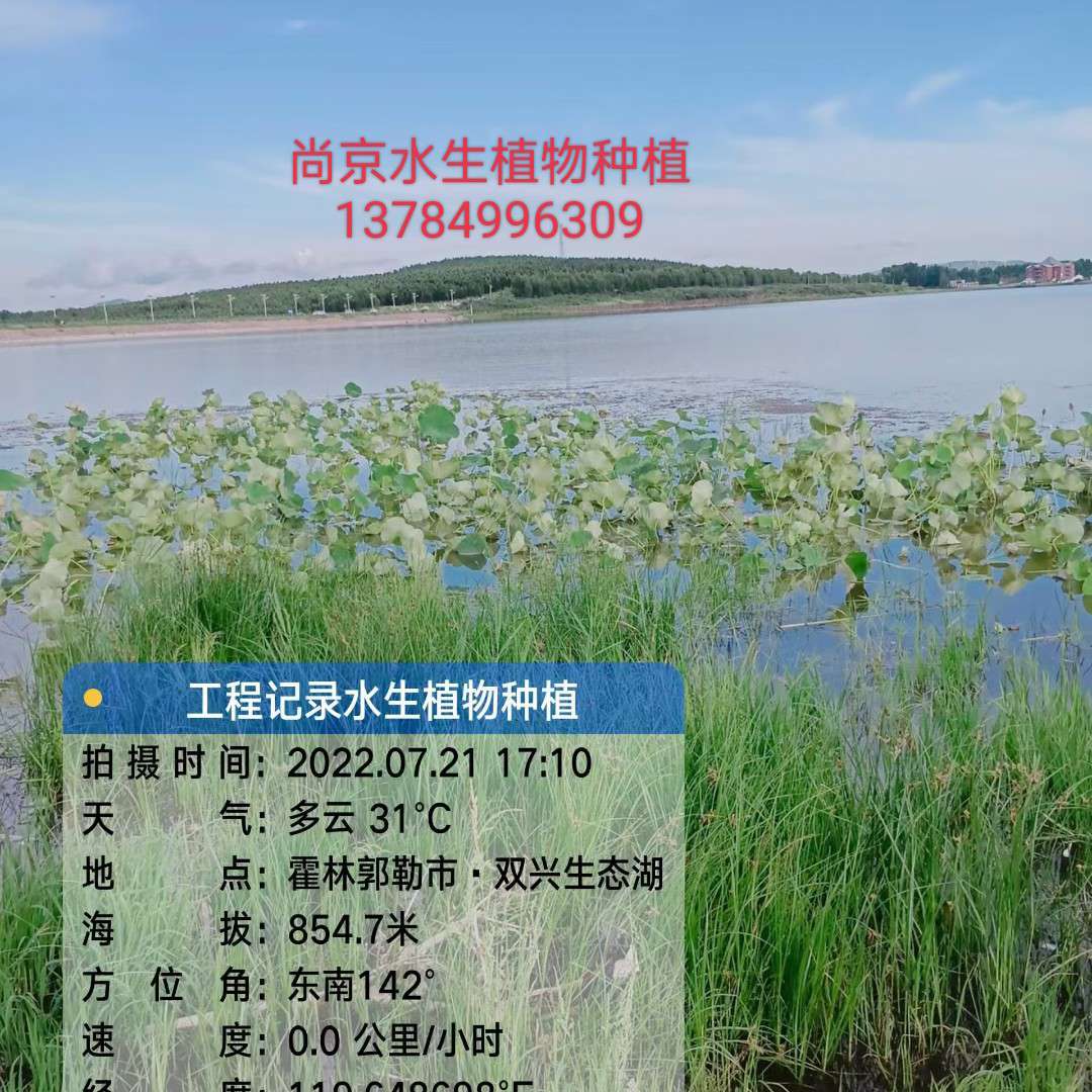 河北雄安尚京农业科技有限公司