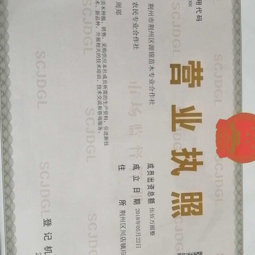 荆州市荆州区源锦苗木专业合作社