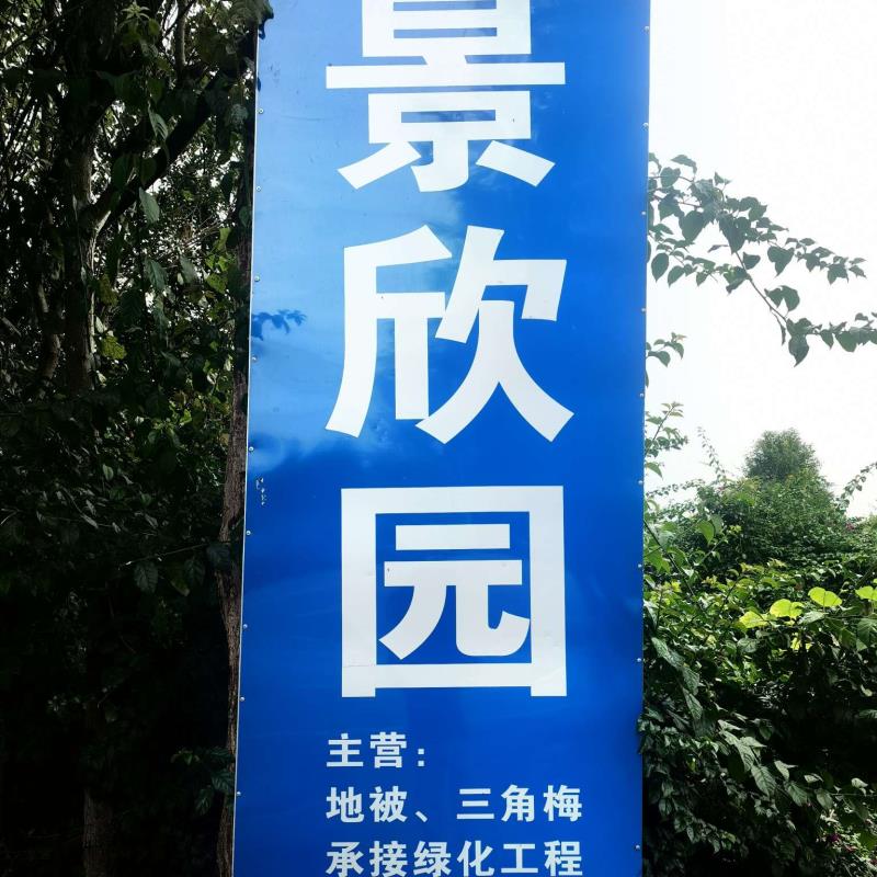 宜良县景欣园种植园