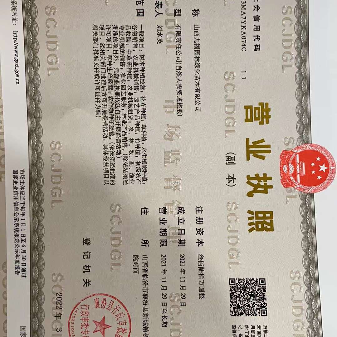 山西九福园林绿化苗木有限公司